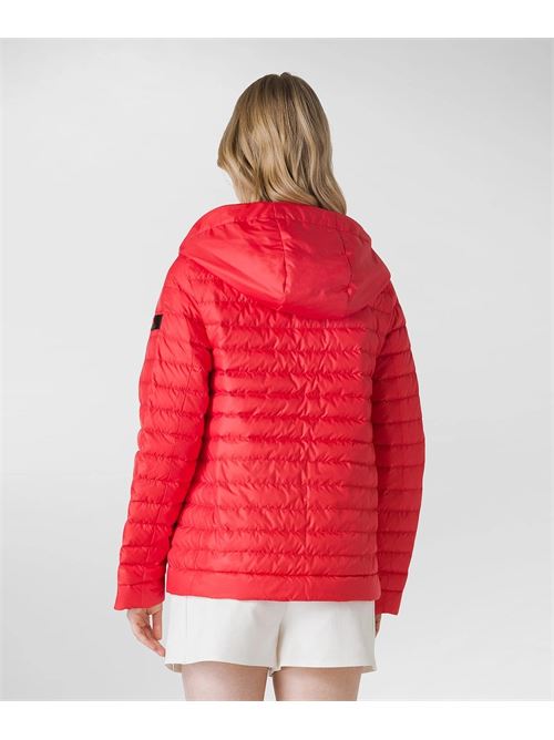 CALVUS MQE 02 PEUTEREY | PED4634 01181785/0049